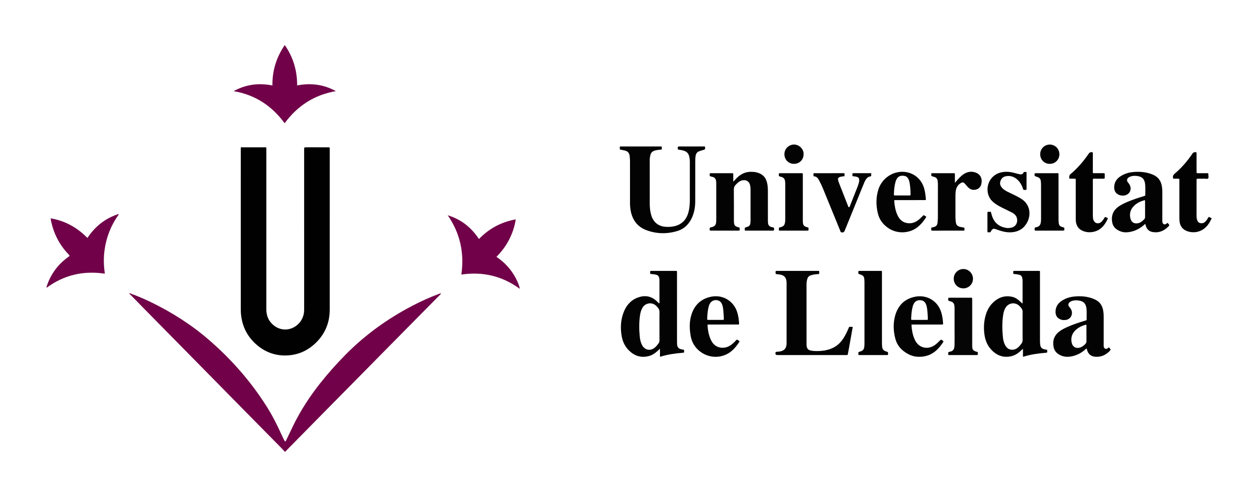 Universitat_de_Lleida
